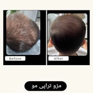 گالری تصاویر